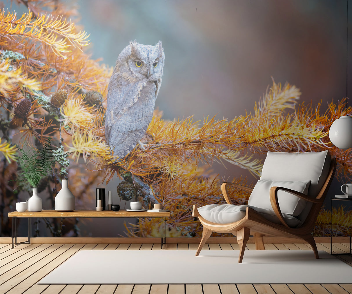 Eurasian scops owl Poster och Canvastavla