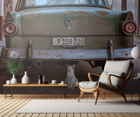Cuban Cat with Car Poster och Canvastavla