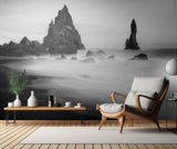 Black sand Poster och Canvastavla