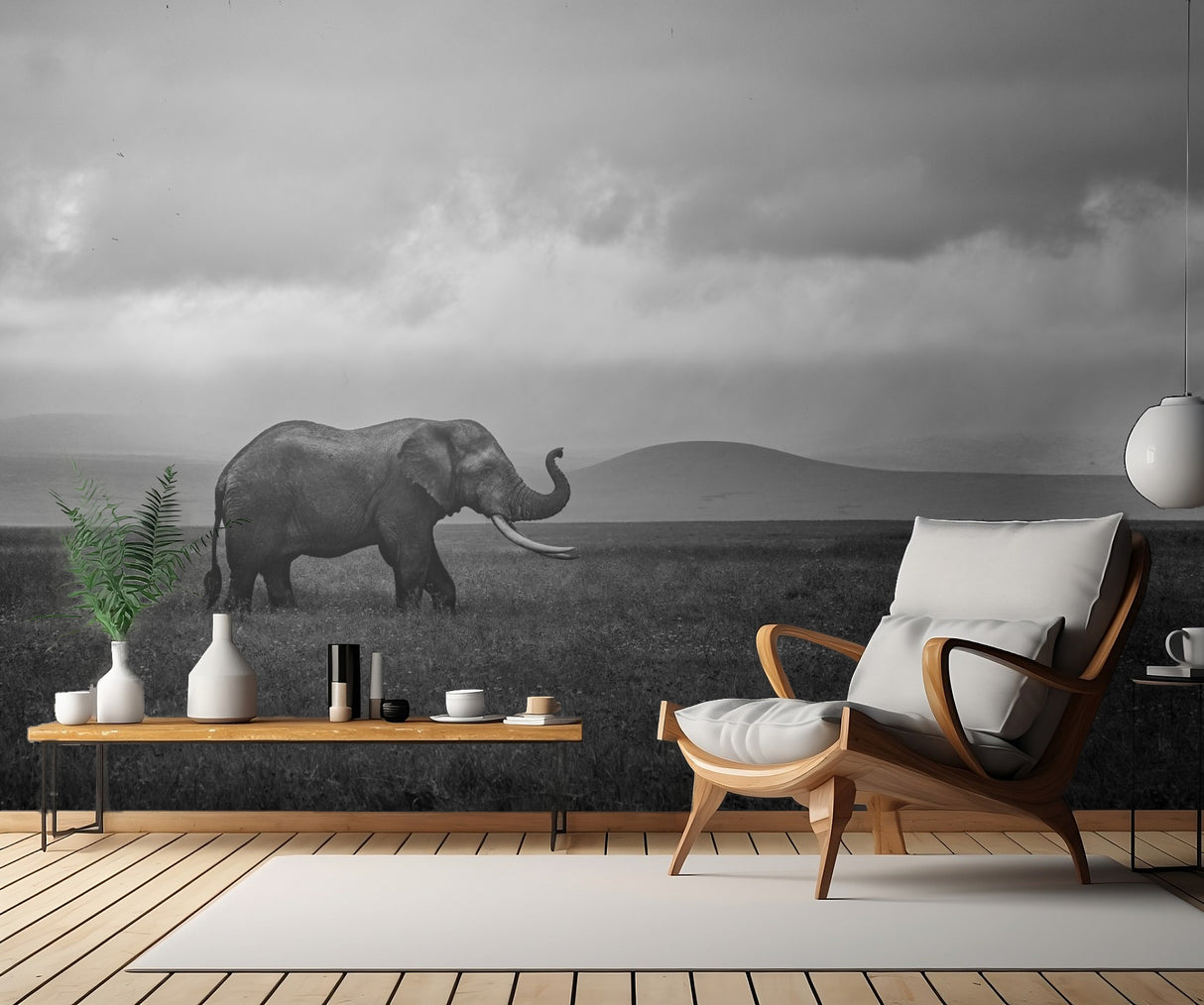 Elephant Poster och Canvastavla