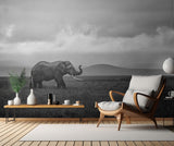 Elephant Poster och Canvastavla