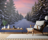 Road into the winter forest Poster och Canvastavla