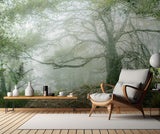 Foggy Day at the Kap Poster och Canvastavla