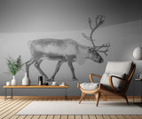 Alone in the Arctic wasteland Poster och Canvastavla