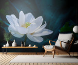 Lotus Poster och Canvastavla