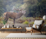The scream of the deer Poster och Canvastavla
