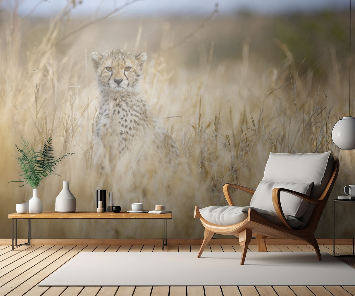 Young cheetah Poster och Canvastavla