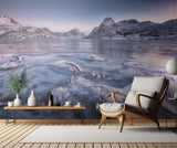 Iced morning Poster och Canvastavla