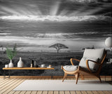 Monochrome sunrise Poster och Canvastavla