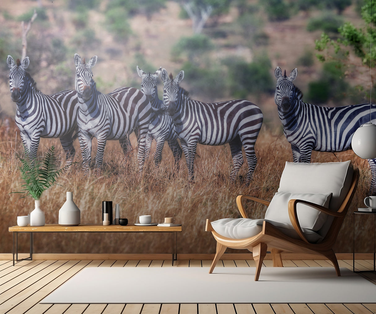 Zebras Poster och Canvastavla