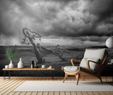 The Moonah Tree Poster och Canvastavla