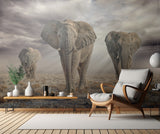 EtoshaElephants Poster och Canvastavla