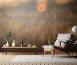 sunrise among the rough hair moss Poster och Canvastavla