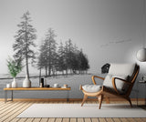 A Sunny Winter Day Poster och Canvastavla