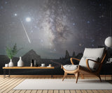Perseids Meteor Poster och Canvastavla