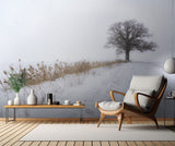 Oak in Fog Poster och Canvastavla