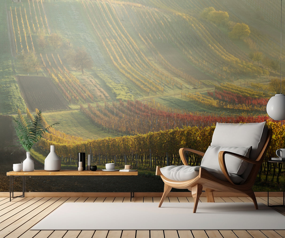 Autumn vineyards Poster och Canvastavla