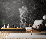Leopard, eye to eye Poster och Canvastavla