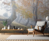 Twisted beeches in Laga mountains Poster och Canvastavla