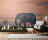 Elephant at dusk Poster och Canvastavla
