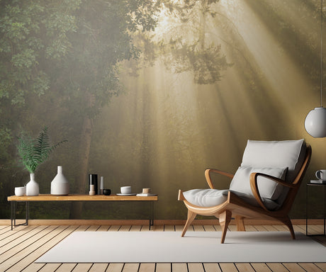 ray of light Poster och Canvastavla