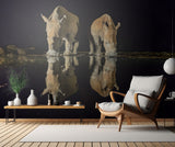 White Rhinos Poster och Canvastavla