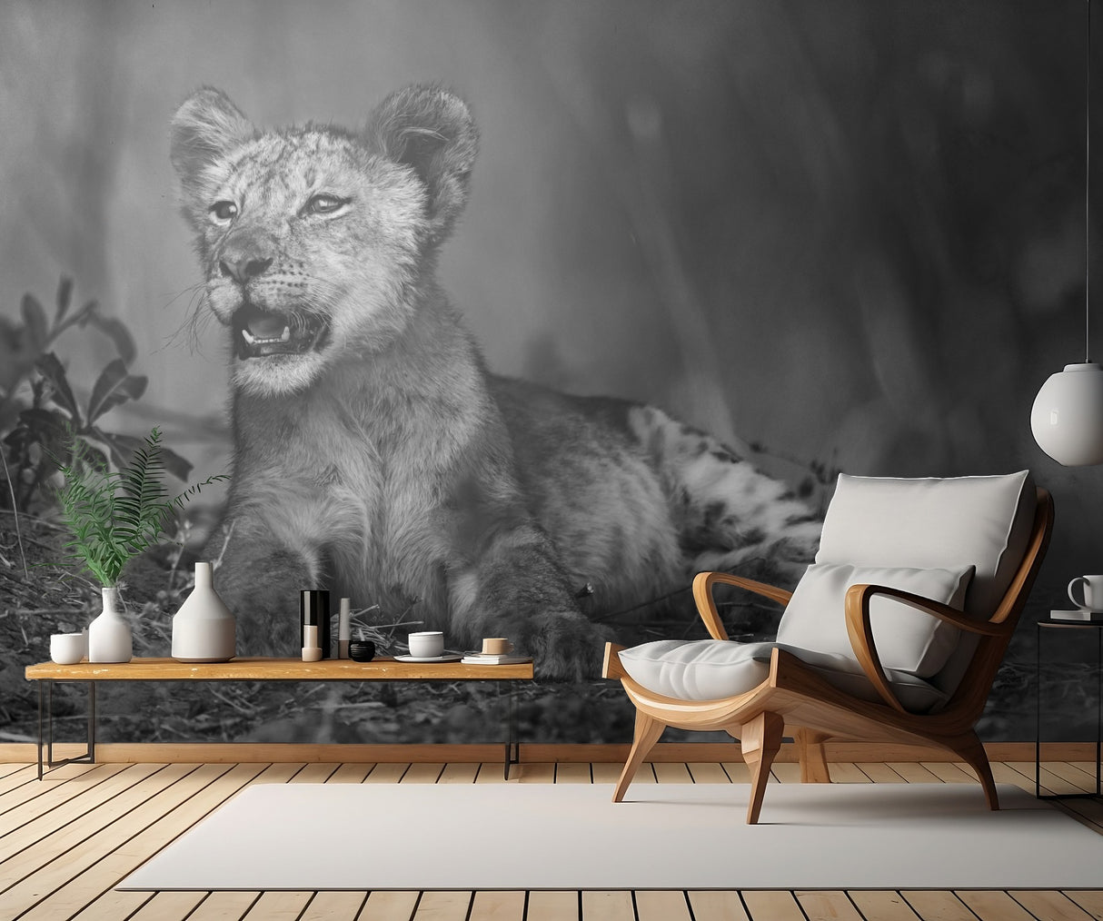 Lion cub in B &amp; W Poster och Canvastavla