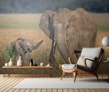 Mom elephant with calf Poster och Canvastavla