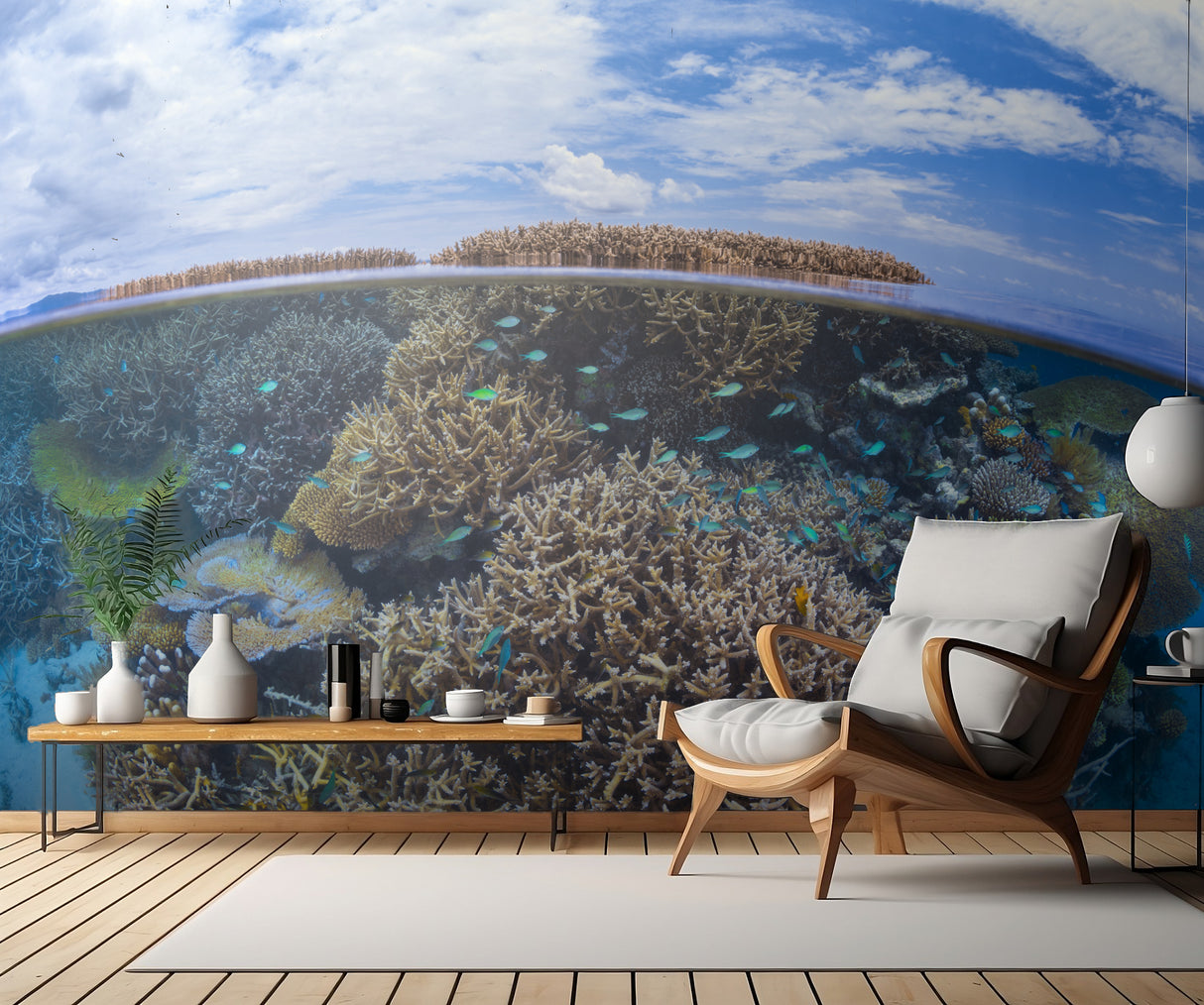 Split level from Mayotte reef Poster och Canvastavla