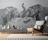 Elephant "Tai Chi" Poster och Canvastavla