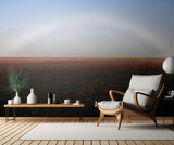 Fogbow Poster och Canvastavla