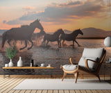 WATER HORSES Poster och Canvastavla
