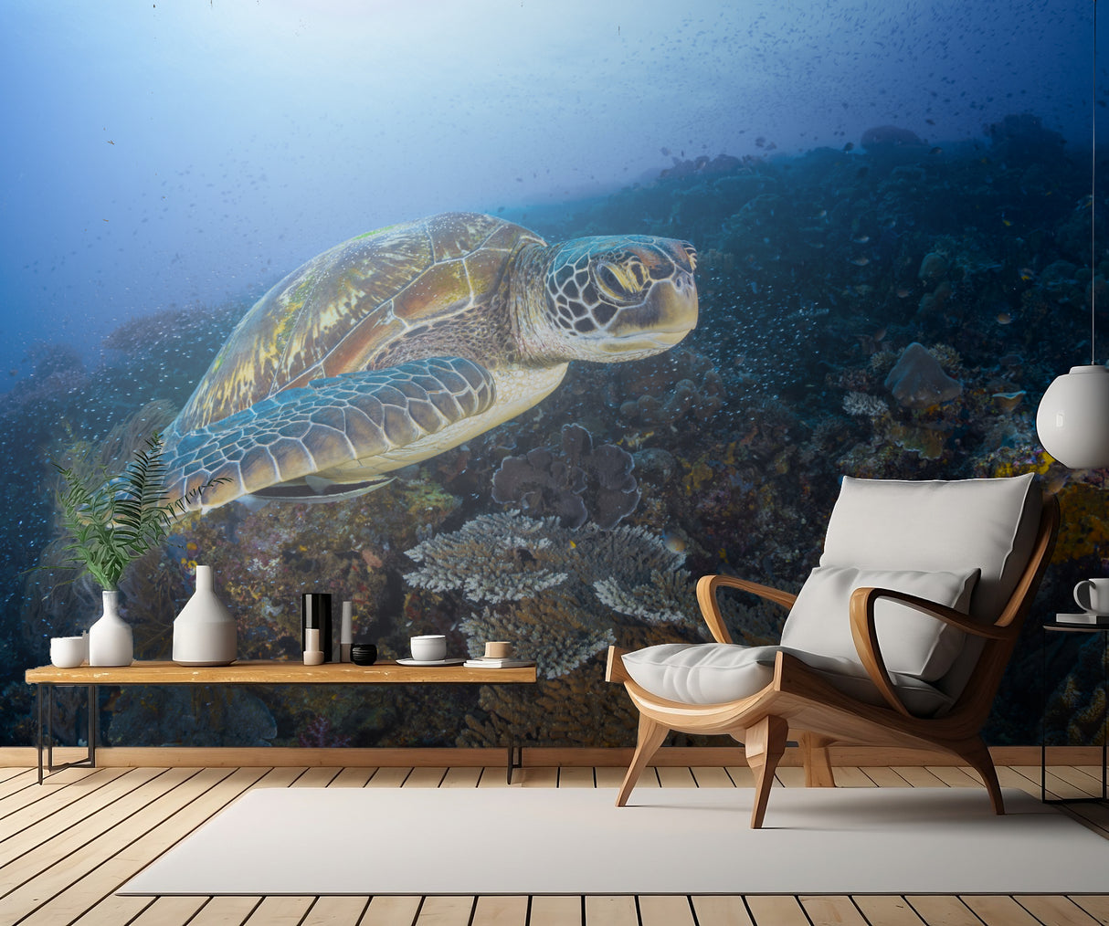 Green sea turtle from Raja Ampat Poster och Canvastavla