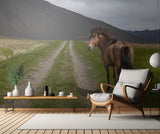 You can Pass By Poster och Canvastavla