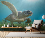 Green turtle Poster och Canvastavla