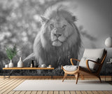 Monochromatic lion king Poster och Canvastavla