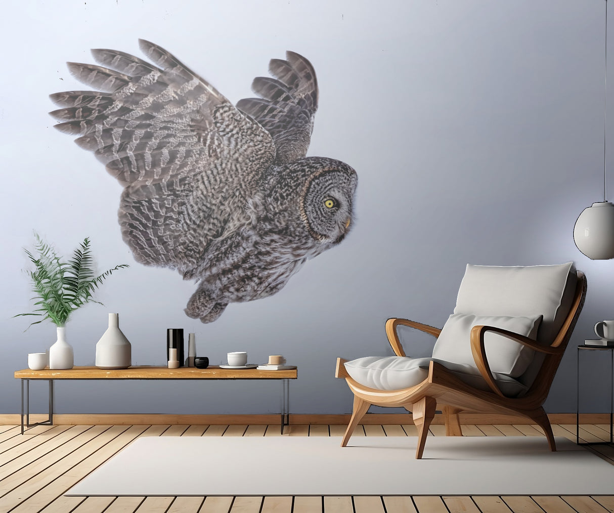 Great Grey Owl Poster och Canvastavla