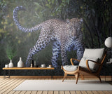 Eye contact Poster och Canvastavla