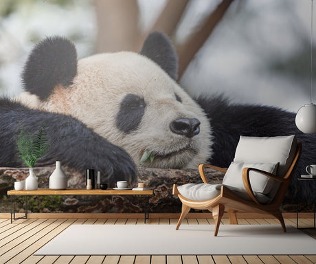 Sleeping Poster och Canvastavla
