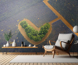 The heart Poster och Canvastavla