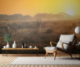 African atmosphere at sunset  A734493 Poster och Canvastavla