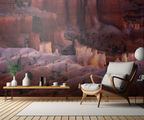 Canyon Light Poster och Canvastavla