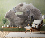 Bear Cubs Playing Poster och Canvastavla