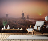 Foggy morning Poster och Canvastavla