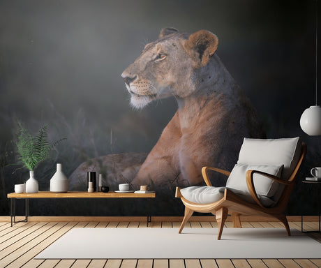 Lone lioness Poster och Canvastavla