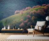 Sunset in the primitive wild apricot forest Poster och Canvastavla