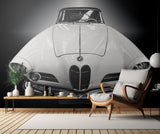 The Cabriolet Poster och Canvastavla
