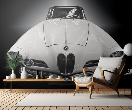 The Cabriolet Poster och Canvastavla