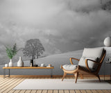 A cloudy winter day Poster och Canvastavla