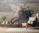 Cheetah and cup! Poster och Canvastavla